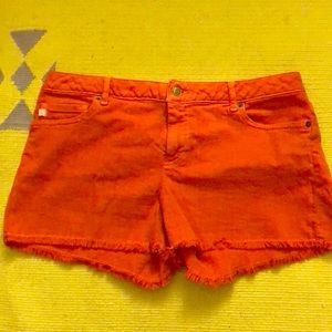 Michael Kors jean shorts